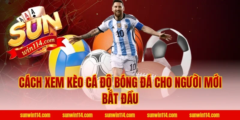 Cách Xem Kèo Cá Độ Bóng Đá cho người mới bắt đầu