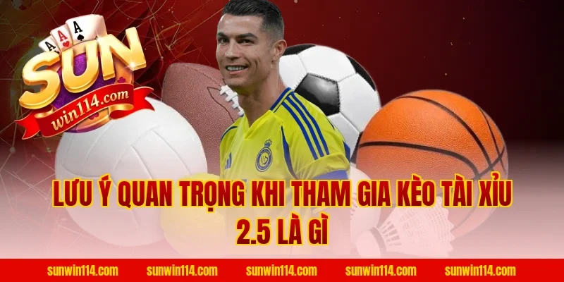 Lưu ý quan trọng khi tham gia Kèo Tài Xỉu 2.5 Là Gì