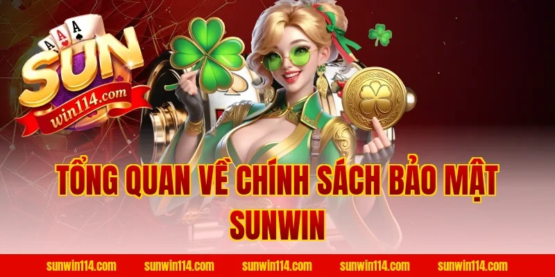 Tổng Quan Về Chính Sách Bảo Mật Sunwin